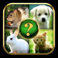animals quiz gameskip