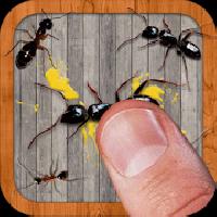 ant smasher free game gameskip
