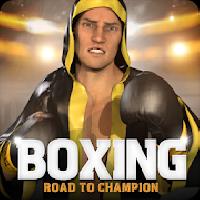 boxing - road to champion gameskip