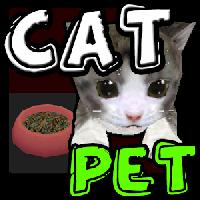 cat pet gameskip