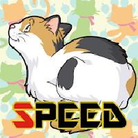 cat speed (card game)