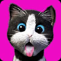 daily kitten : virtual cat pet