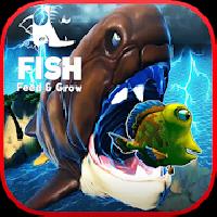 feed and grow : crazy fish gameskip