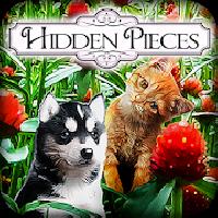 hidden pieces - spring babies gameskip