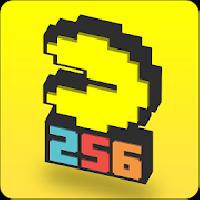 pac-man 256: endless maze