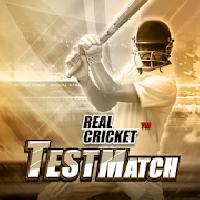 real cricket test match gameskip