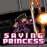 saving princess gameskip