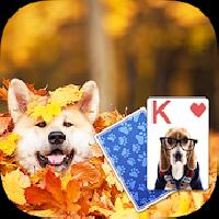 solitaire playful dog theme