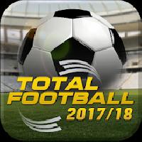 total football 2016/2017 gameskip