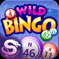 wild bingo: free bingo slots