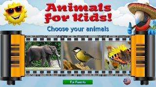 kids learn about animals
