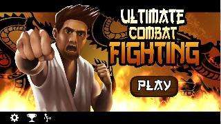 ultimate combat fighting