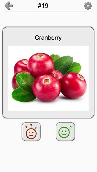fruits, berries and veggies quiz
