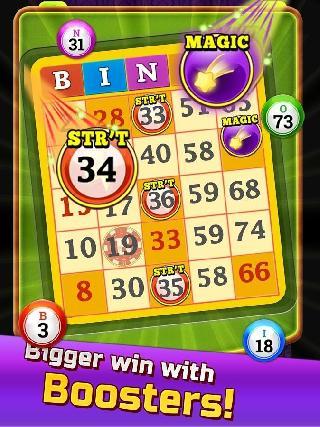 new bingo - 100 totally new