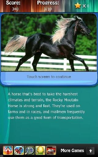 horse breeds and pony quiz hd