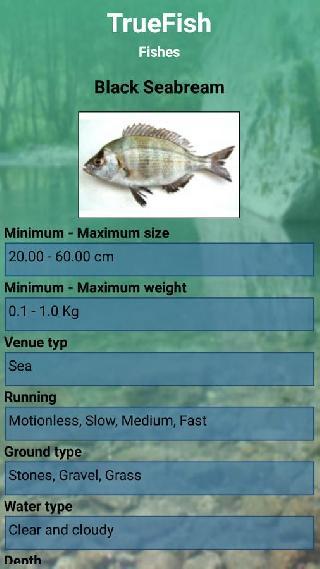 truefish