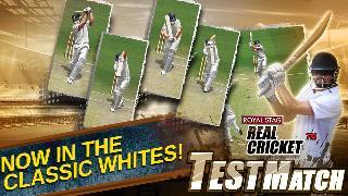 real cricket test match