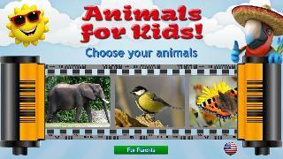 kids learn about animals