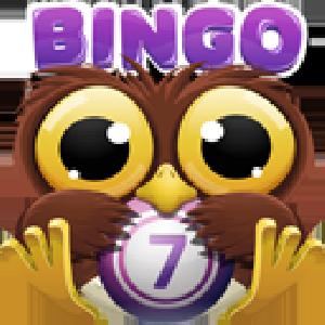 bingo crack GameSkip