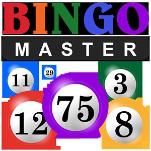 bingo master GameSkip