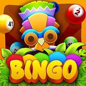 bingo new GameSkip