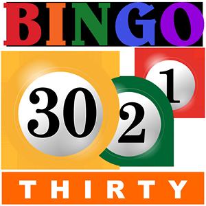 bingo thirty GameSkip