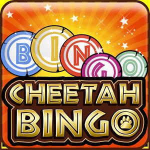 cheetah bingo GameSkip