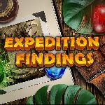 expedition findings GameSkip