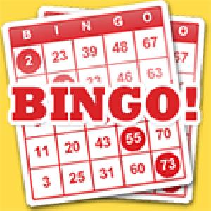 bingo game point GameSkip