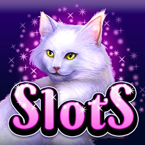glitzy kitty slots GameSkip
