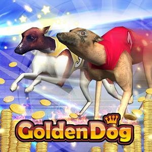golden dog 3d GameSkip