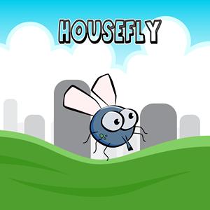 house fly GameSkip