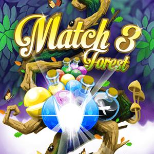 match in forest GameSkip