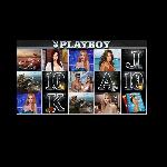 playboy slot GameSkip