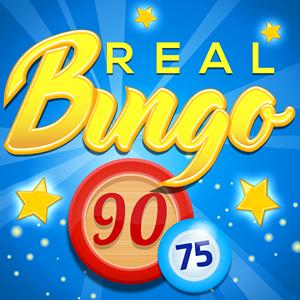real bingo GameSkip