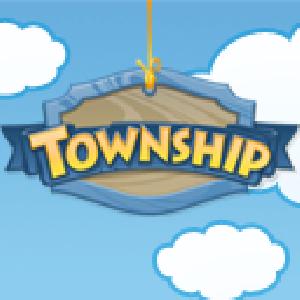 township GameSkip