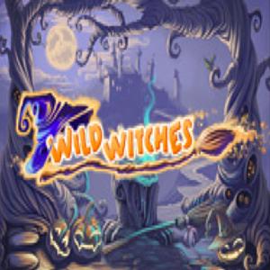 wild witches GameSkip