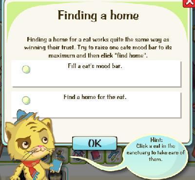 cat rescue finding a home tasks