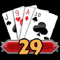29 card game challenge