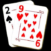 29 card game gameskip