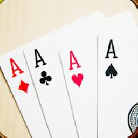 29 card gameskip