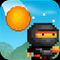 8 bit ninja gameskip
