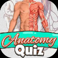 anatomy quiz free science game gameskip