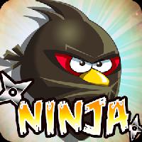 angry ninja 2017 gameskip
