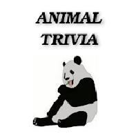 animal trivia gameskip