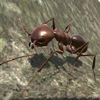 ant simulator 3d