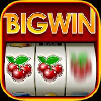 big win slots - slot machines gameskip