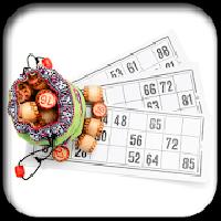 bingo gameskip