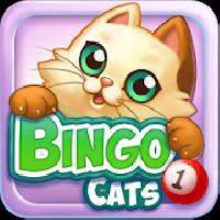 bingo cats gameskip