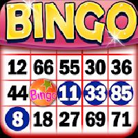 bingo game free gameskip